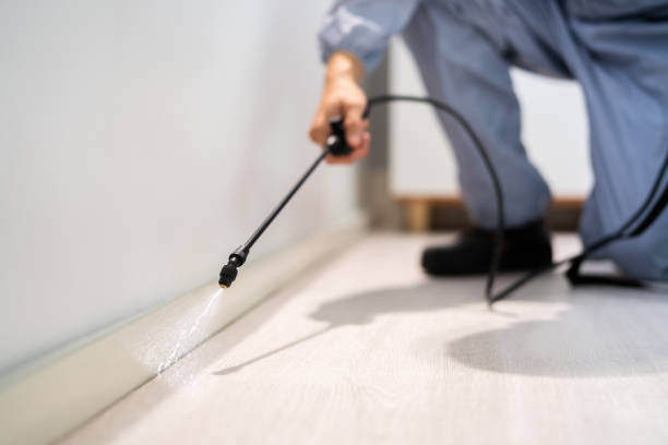 Professional exterminator conducting IPM assessment in Elgin